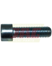 JAG08-0533 Śruba 211386.01