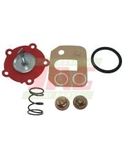 JAG99-0206 Zestaw naprawczy pompki zasilającej 1896329M91.01