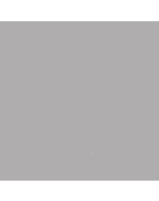 Farba Erbedol Case IH srebrna spray 300ml (SL9670) FARBA-CASE-IH-SREBRNA-SPRAY-300M