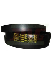 0211256 Pas wariatorowy GATES AGRI Z36376.26