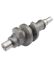 JAG08-0650 Wałek ślimaka 090126.01