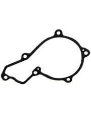 JAG99-1418 Uszczelka pompy wody R119383.01