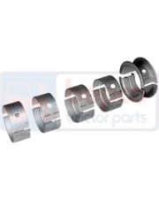 1082404R91 Zestaw panewek głównych 1082404R91.01