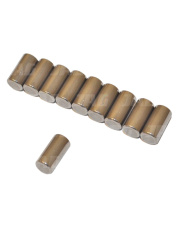 JAG07-0100 Igiełka łożyskowe (10szt) 2172871.01