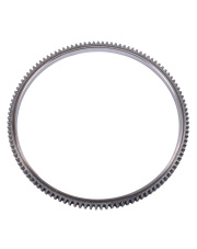 F180200310080 Wieniec koła zamachowego F180200310080.01