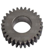 N13513 Zębatka planetarna Z29 6431-16.02