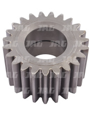 31796700 Zębatka satelity 31796700.01