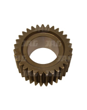 175979A1 Zębatka planetarna 6431-25.01