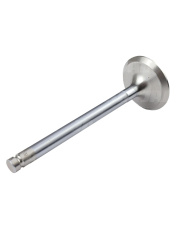 02201599 Zawór ssący 42-305