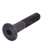 JAG08-0736 Śruba 211175.01