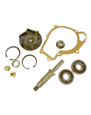 JAG99-0250 Zestaw naprawczy pompy wody ENPACO 3641332M91.01