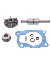 1094021R91 Zestaw naprawczy pompy wody 1094021R91.01