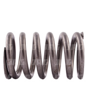 R26125 Sprężyna zewnętrzna zaworu 45-10.01