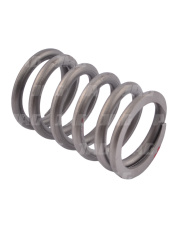 3055060R1 Sprężyna zewnętrzna zaworu 3055060R1.01