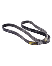 195.591 Pas wielorowkowy CONTINENTAL AGRIDUR 780160.04