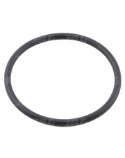 6005019089 Pierścień Claas Org 6005019089