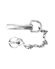 8002731 Śruba Walterscheid (8.03.010) 8002731.98