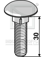 10306038V Śruba z łbem grzybkowym galwanicznie ocynkowana 10306038V.97