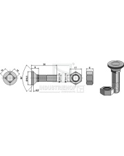 1236VLE Śruba płużna M12x1,75x36 z nakrętką sześciokątną 1236VLE.97