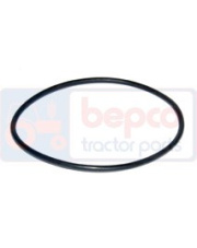 4223842M1 Uszczelka termostatu 4223842M1.01