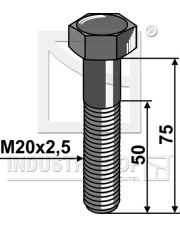 207593110 Śruba ścinana M20 bez nakrętki 207593110.97