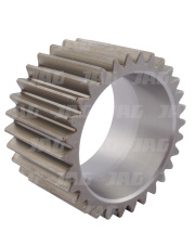 L101725 Zębatka planetarna L101725.01