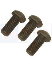 M1853164 Śruba regulacji sprzęgła M1853164.01