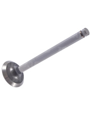 JAG99-0170  Zawór wydechowy 738944M1.01