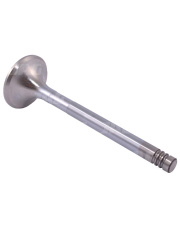 W50743 Zawór wydechowy F183200210070.01