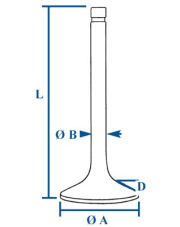 3638962M91 Zawór wydechowy 43-52