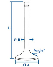 R502369 Zawór ssący 42-93