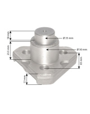 6000103319 Sworzeń zwrotnicy 6000103319.02