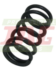 JAG58-0039 Sprężyna przytrzymywacza RASSPE RS3789.01