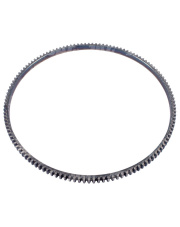 4895353 Wieniec koła zamachowego 4895353.01