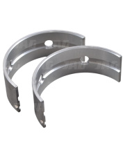 02929106 Para panewek głównych NE Germany 02929106.01