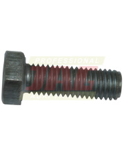 238419 Śruba 238419.01