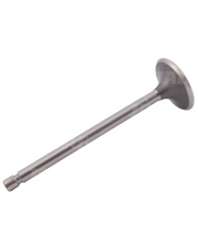 50/00-847/0PL Zawór ssący PARADOWSCY 50/00-847/0/PL.01