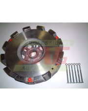 228007210 Docisk - sprzęgło dwutarczowe LUK 228007210.01