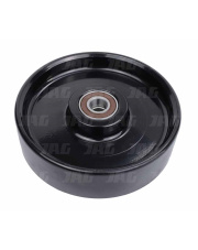 667288 Rolka napinacza z łożyskiem 667288.01